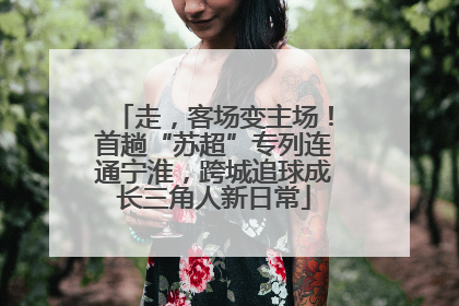 走，客场变主场！首趟“苏超”专列连通宁淮，跨城追球成长三角人新日常