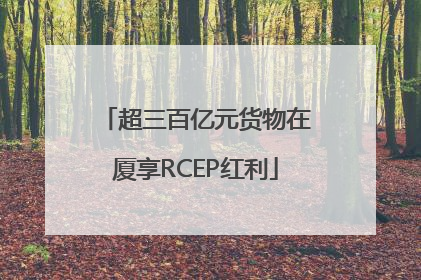 超三百亿元货物在厦享RCEP红利