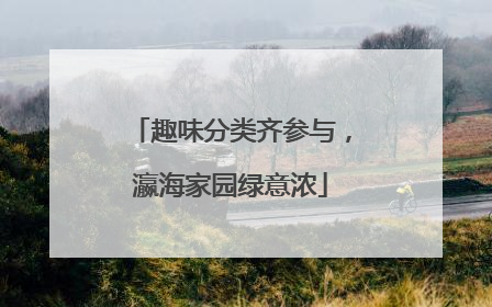 趣味分类齐参与，瀛海家园绿意浓