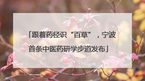 跟着药径识“百草”，宁波首条中医药研学步道发布