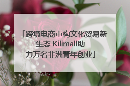 跨境电商重构文化贸易新生态 Kilimall助力万名非洲青年创业