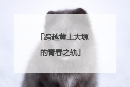 跨越黄土大塬的青春之轨
