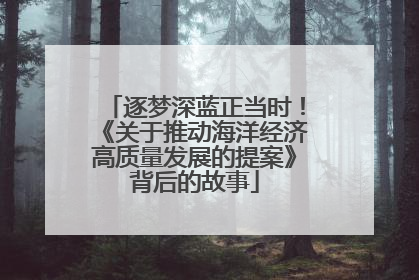 逐梦深蓝正当时！《关于推动海洋经济高质量发展的提案》背后的故事