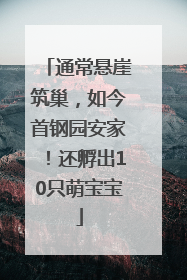 通常悬崖筑巢，如今首钢园安家！还孵出10只萌宝宝