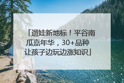 遛娃新地标！平谷南瓜嘉年华，30+品种让孩子边玩边涨知识