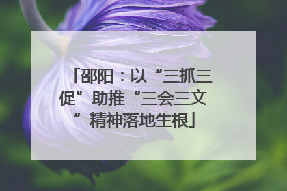 邵阳：以“三抓三促”助推“三会三文”精神落地生根