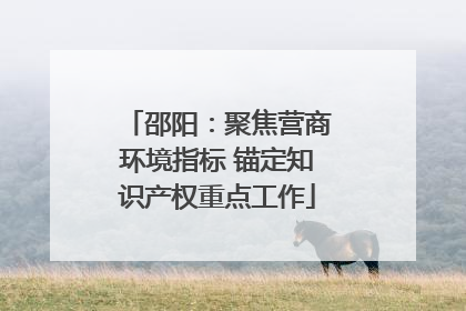 邵阳：聚焦营商环境指标 锚定知识产权重点工作