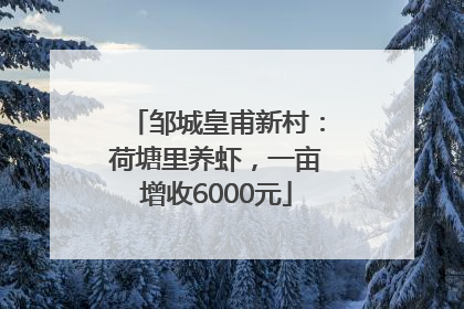 邹城皇甫新村：荷塘里养虾，一亩增收6000元