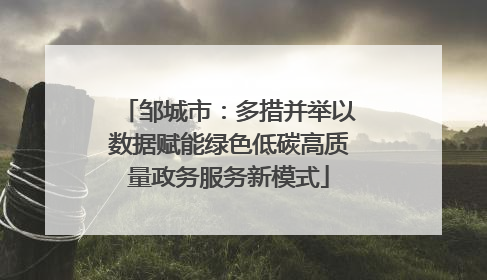 邹城市：多措并举以数据赋能绿色低碳高质量政务服务新模式