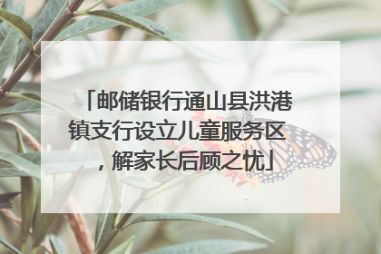 邮储银行通山县洪港镇支行设立儿童服务区，解家长后顾之忧