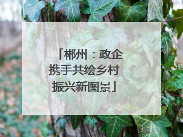 郴州：政企携手共绘乡村振兴新图景