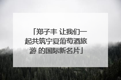 郑子丰 让我们一起共筑宁夏葡萄酒旅游 的国际新名片