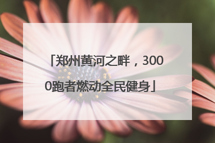 郑州黄河之畔，3000跑者燃动全民健身