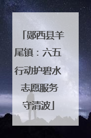 郧西县羊尾镇：六五行动护碧水 志愿服务守清波