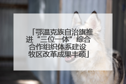 鄂温克族自治旗推进“三位一体”综合合作组织体系建设 牧区改革成果丰硕