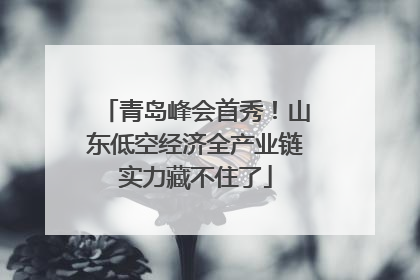 青岛峰会首秀！山东低空经济全产业链实力藏不住了