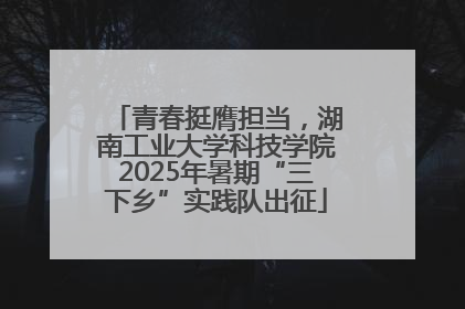 青春挺膺担当，湖南工业大学科技学院2025年暑期“三下乡”实践队出征
