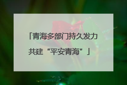 青海多部门持久发力共建“平安青海”