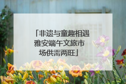 非遗与童趣相遇 雅安端午文旅市场供需两旺