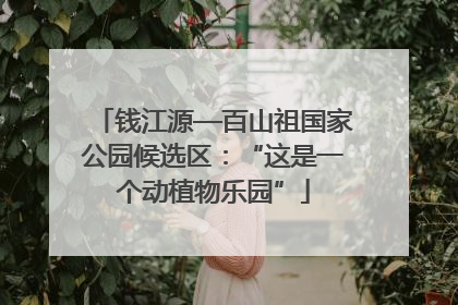 钱江源—百山祖国家公园候选区：“这是一个动植物乐园”