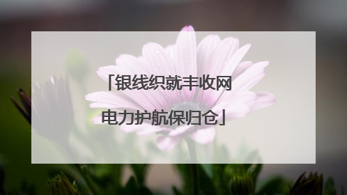 银线织就丰收网 电力护航保归仓