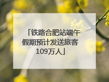 铁路合肥站端午假期预计发送旅客109万人