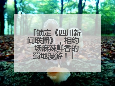 锁定《四川新闻联播》，相约一场麻辣鲜香的蜀地漫游！
