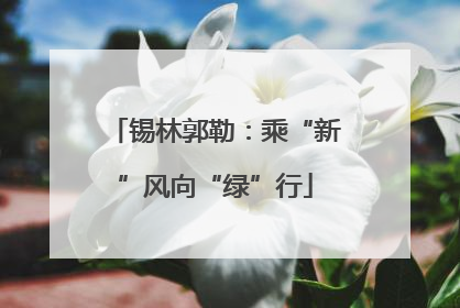 锡林郭勒：乘“新”风向“绿”行