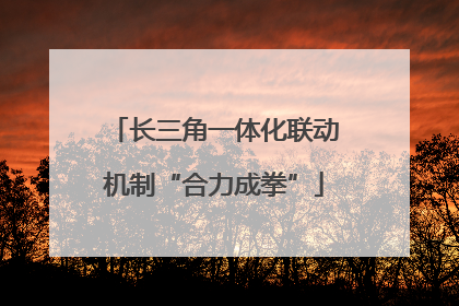 长三角一体化联动机制“合力成拳”