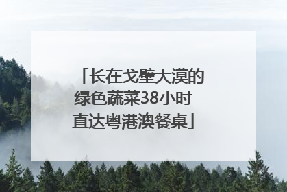 长在戈壁大漠的绿色蔬菜38小时直达粤港澳餐桌