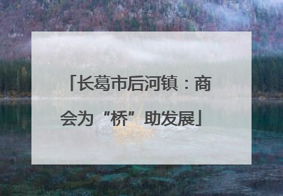 长葛市后河镇：商会为“桥”助发展