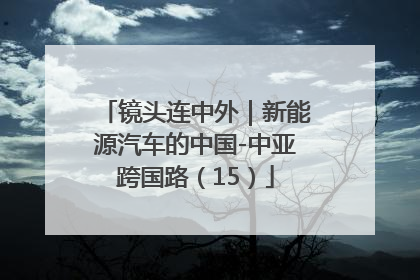 镜头连中外｜新能源汽车的中国-中亚跨国路（15）