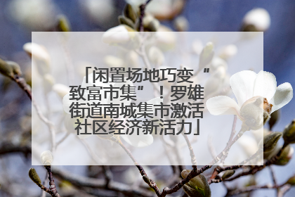 闲置场地巧变“致富市集”！罗雄街道南城集市激活社区经济新活力