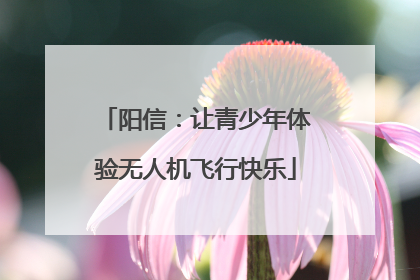 阳信：让青少年体验无人机飞行快乐