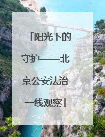 阳光下的守护——北京公安法治一线观察