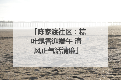 陈家渡社区：粽叶飘香迎端午 清风正气话清廉