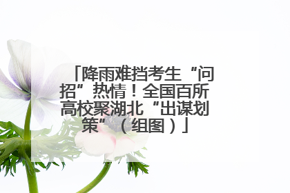 降雨难挡考生“问招”热情！全国百所高校聚湖北“出谋划策”（组图）