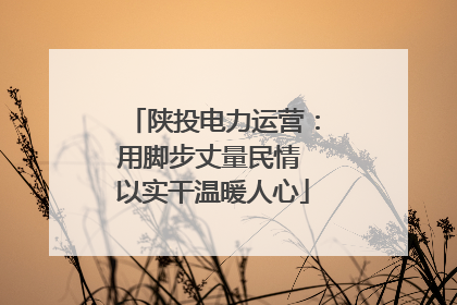陕投电力运营：用脚步丈量民情 以实干温暖人心