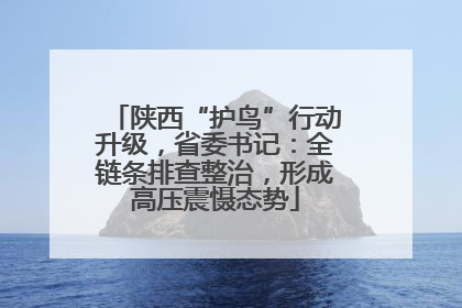 陕西“护鸟”行动升级，省委书记：全链条排查整治，形成高压震慑态势