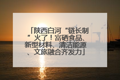 陕西白河“链长制”火了！富硒食品、新型材料、清洁能源、文旅融合齐发力