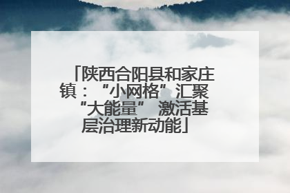 陕西合阳县和家庄镇：“小网格”汇聚“大能量” 激活基层治理新动能
