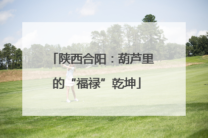 陕西合阳：葫芦里的“福禄”乾坤