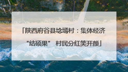 陕西府谷县埝墕村：集体经济“结硕果” 村民分红笑开颜