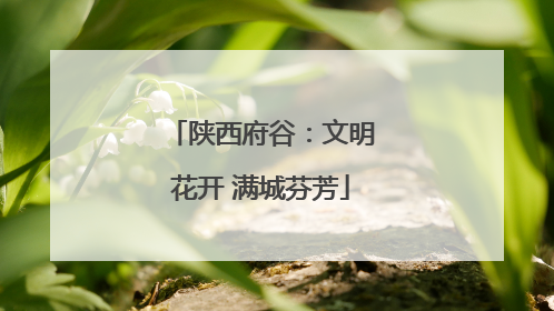 陕西府谷：文明花开 满城芬芳