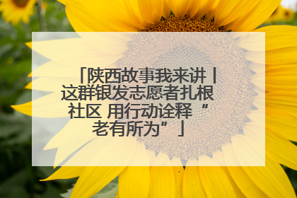 陕西故事我来讲丨这群银发志愿者扎根社区 用行动诠释“老有所为”