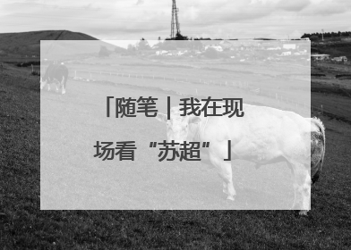 随笔｜我在现场看“苏超”