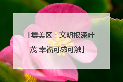 集美区：文明根深叶茂 幸福可感可触