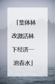 集体林改激活林下经济一池春水