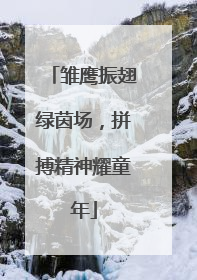雏鹰振翅绿茵场，拼搏精神耀童年