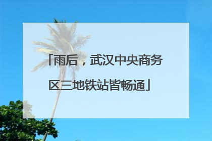 雨后，武汉中央商务区三地铁站皆畅通